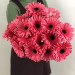 Гербера Ярко-розовая