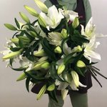 Лилия &laquo;Белая&raquo;