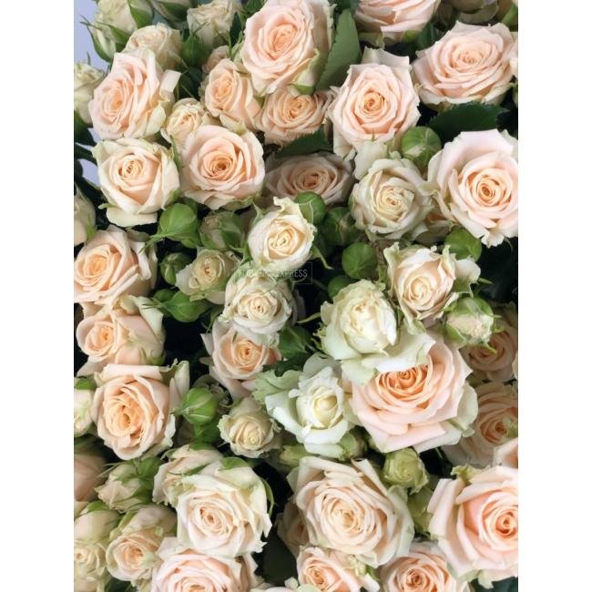 Кустовая роза &laquo;Татьяна&raquo; (Tatjana)