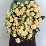 Кустовая роза &laquo;Татьяна&raquo; (Tatjana)