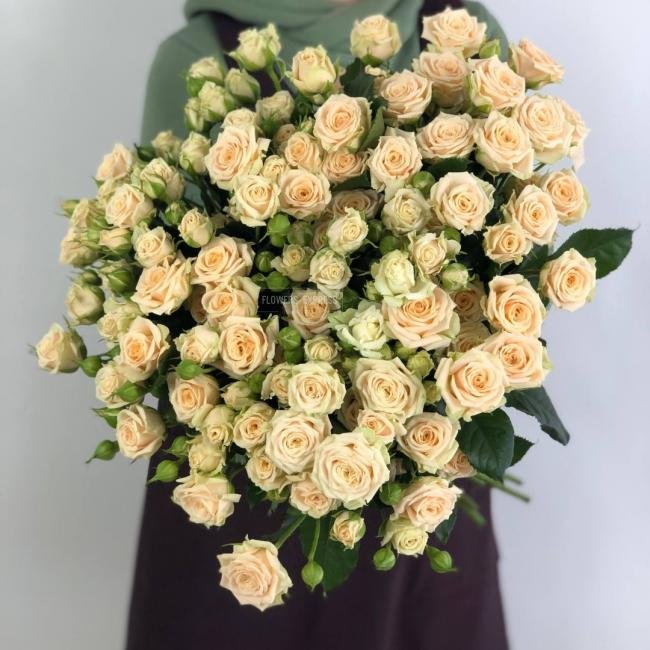 Кустовая роза &laquo;Татьяна&raquo; (Tatjana)