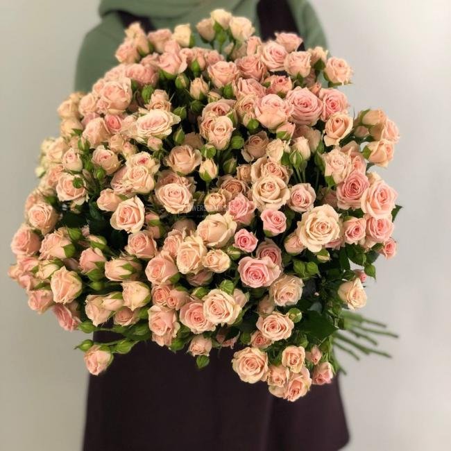 Кустовая роза &laquo;Лидия&raquo; (Lidia)