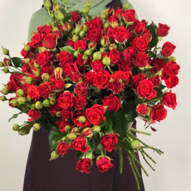 Кустовая роза &laquo;Мирабель&raquo; (Mirabel)