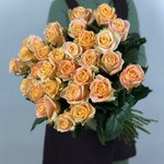 Роза сорта &laquo;Кашмир&raquo; (Kashmir)