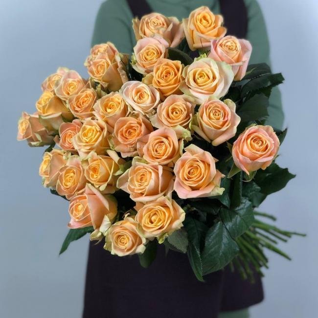 Роза сорта &laquo;Кашмир&raquo; (Kashmir)