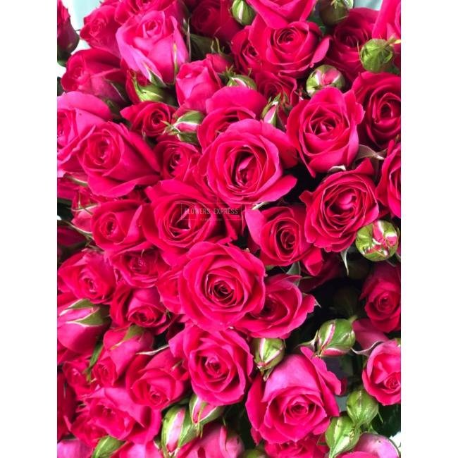 Кустовая роза &laquo;Фрути Бабблз&raquo; (Fruity Bubbles)