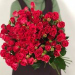 Кустовая роза &laquo;Фрути Бабблз&raquo; (Fruity Bubbles)