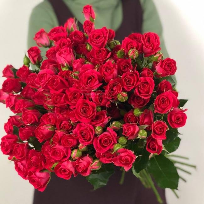 Кустовая роза &laquo;Фрути Бабблз&raquo; (Fruity Bubbles)