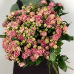 Кустовая роза &laquo;Сплеш&raquo; (Splash)