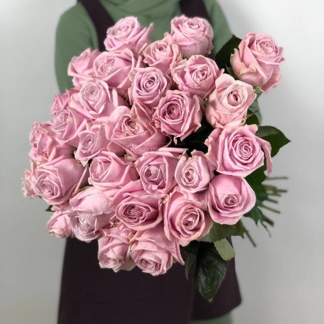 Роза сорта &laquo;Виолетта&raquo; (Violetta)