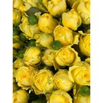 Кустовая роза &laquo;Еллоу Бабблз&raquo; (Yellow Bubbles)