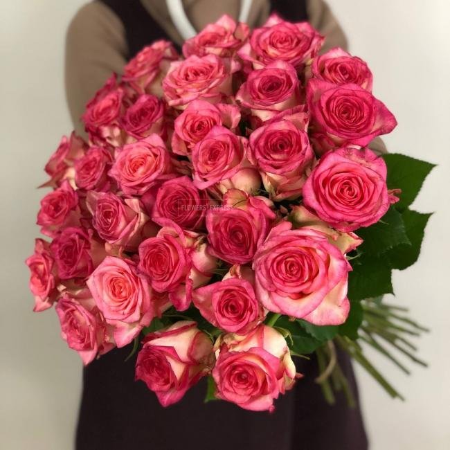 Роза сорта &laquo;Марина&raquo; (Marina)