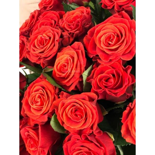 Роза сорта &laquo;Эль Торо&raquo; (El Toro)