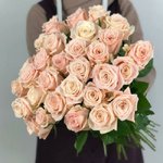 Роза сорта &laquo;Кимберли&raquo; (Kimberly)