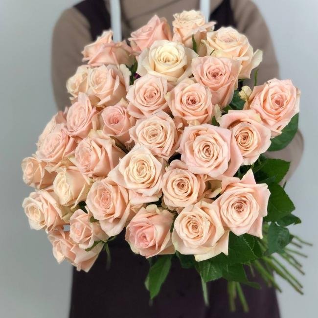 Роза сорта &laquo;Кимберли&raquo; (Kimberly)