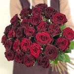 Роза сорта &laquo; Дарк Найт&raquo; (Dark Night)