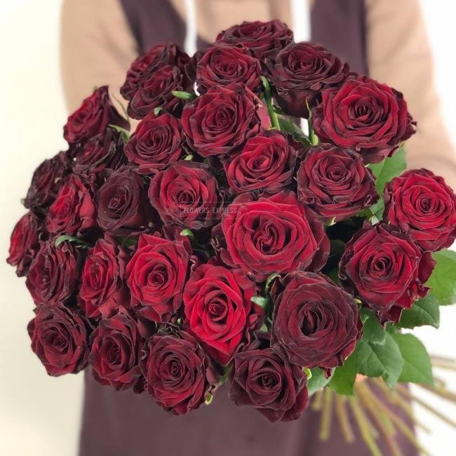 Роза сорта &laquo; Дарк Найт&raquo; (Dark Night)