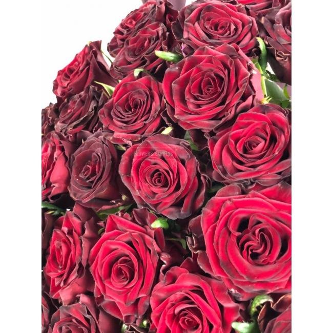 Роза сорта &laquo; Дарк Найт&raquo; (Dark Night)