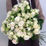 Кустовая роза &laquo;Ангелина&raquo; (Angelina)