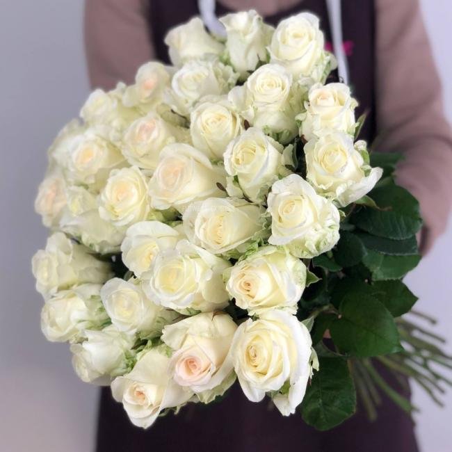 Роза сорта &laquo;Аиша&raquo; (Aicha)