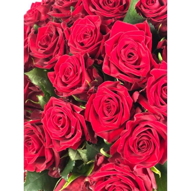 Роза сорта &laquo;Камала&raquo; (Кamala)