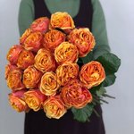 Роза сорта &laquo;Лиана Оранж&raquo; (Liane Orange)