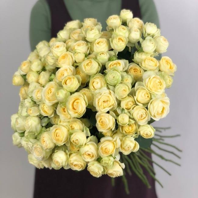 Кустовая роза &laquo;Ольга&raquo; (Olga)