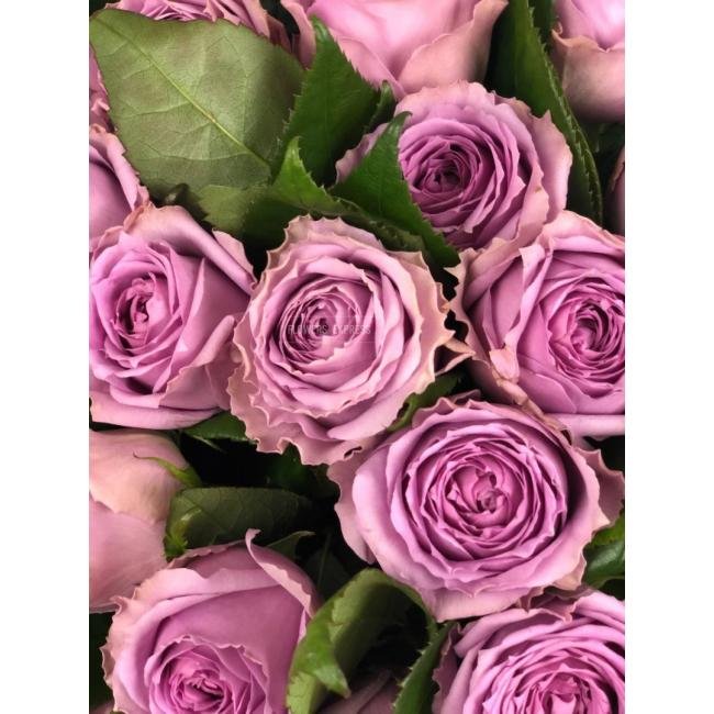 Роза сорта &laquo;Сиреневый Туман&raquo; (Lilac Fog)