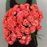 Кустовая роза &laquo;Барбадос&raquo; (Barbados)