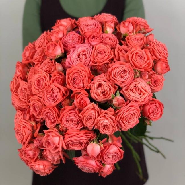 Кустовая роза &laquo;Барбадос&raquo; (Barbados)