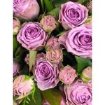 Кустовая роза &laquo;Кантри Сонг&raquo; (Country Song)