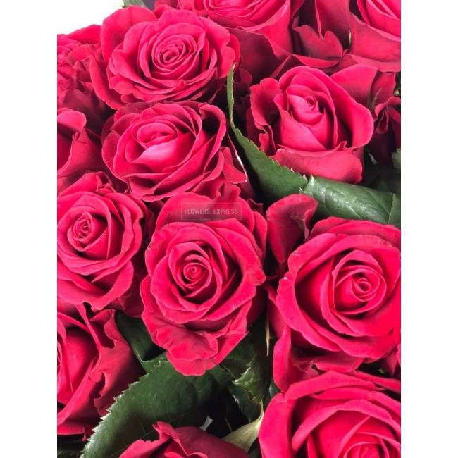 Роза сорта &laquo;Ред Тауэр&raquo; (Red Tower)