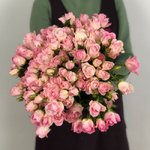 Кустовая роза &laquo;Ксения&raquo; (Xsenia)