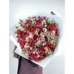 Микс из 101 альстромерии