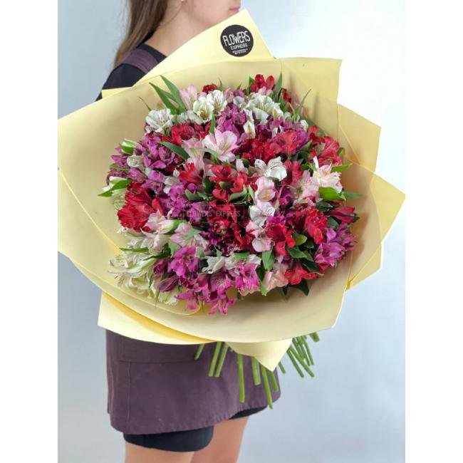 Микс из 51 альстромерии