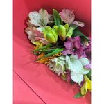 Микс из 25 альстромерий