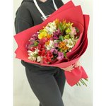 Микс из 25 альстромерий