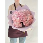 5 Розовых гортензий