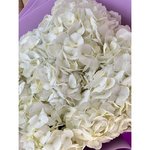 3 Белых гортензии