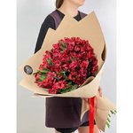 25 Красных альстромерий