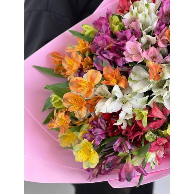 Микс из 31 альстромерии