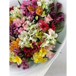 Микс из 35 альстромерий