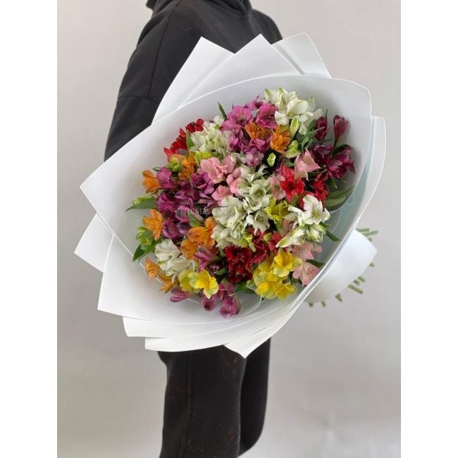 Микс из 35 альстромерий