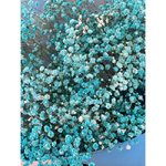 Букет из гипсофил &laquo;Безмятежность&raquo;