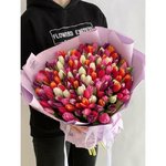 151 Тюльпан микс