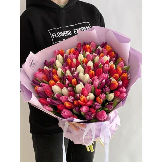 151 Тюльпан микс