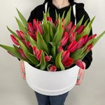 51 Красный тюльпан в коробке