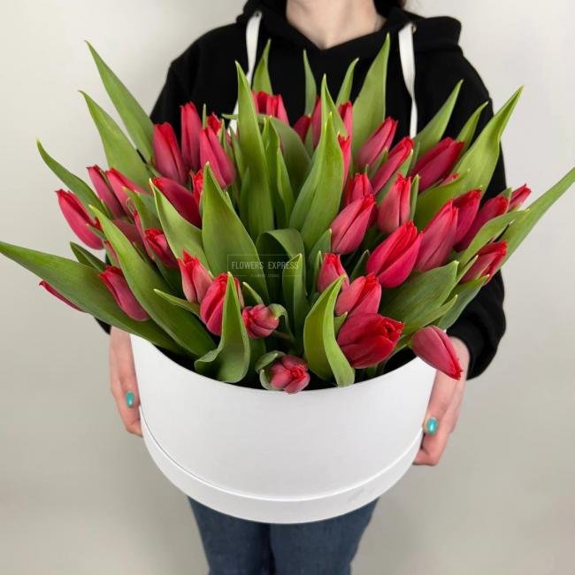51 Красный тюльпан в коробке