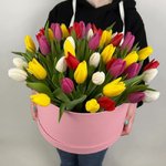 51 Тюльпан микс в коробке