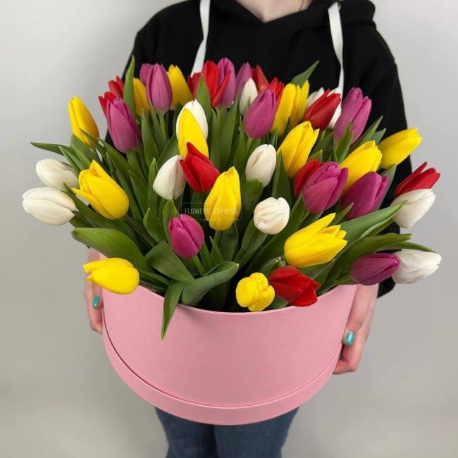 51 Тюльпан микс в коробке
